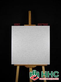 Gạch 60x60 lát nền 6002 muối tiêu