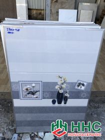 Gạch 30x60 38007