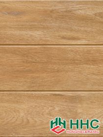 Gạch ốp tường 300x600mm 05.05.3674