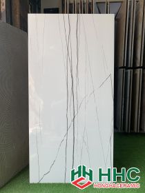 Gạch lát nền 60x120 ấn độ 1002T