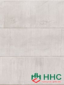 Gạch ốp tường 300x600mm 05.05.3973