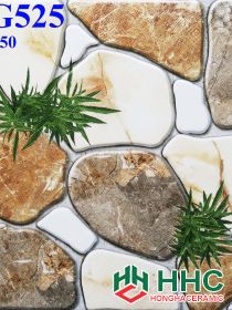 Gạch 50x50 lát sân SG525