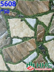 Gạch 50x50 lát sân SG5608