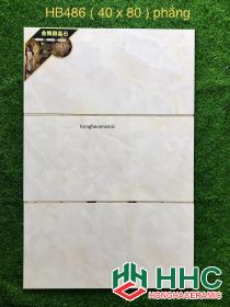 Gạch 40x80 ốp tường hhc486w8