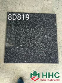 Gạch 80x80 nhập khẩu WL8D819