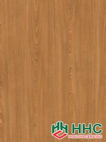 Gạch lát Porcelain kích thước 600x600 - MP6024G