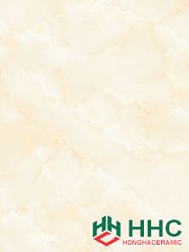 Gạch lát Porcelain kích thước 600x600 - MP6609