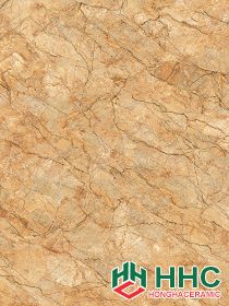 Gạch lát Porcelain kích thước 600x600 - VP6523G