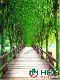 Gạch 3D-Pita mã số: DL 001