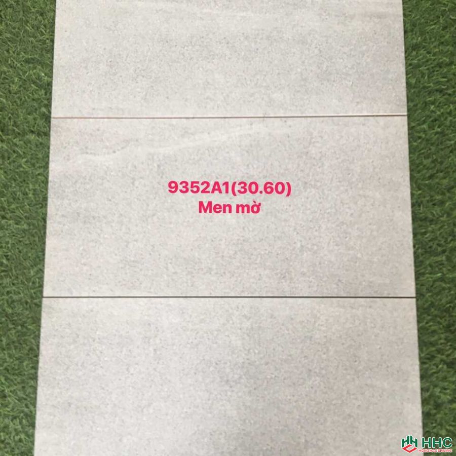 Gạch ốp tường men mờ 30x60 9352