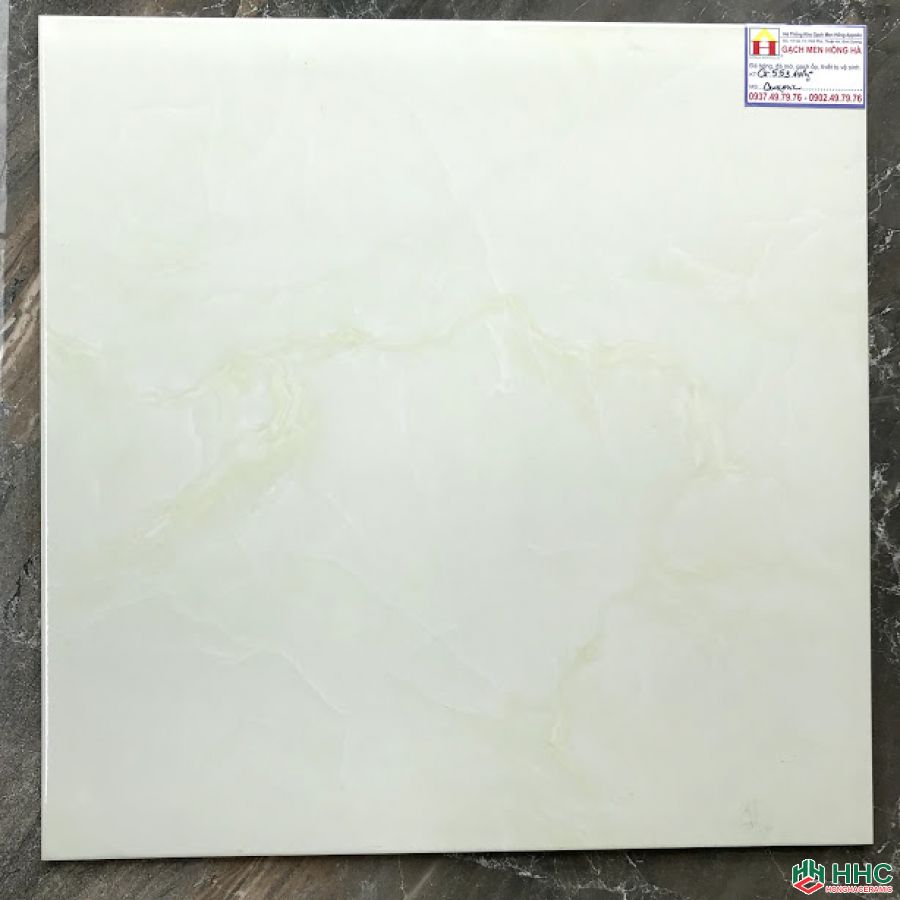 Gạch lát nền 60x60 ct01
