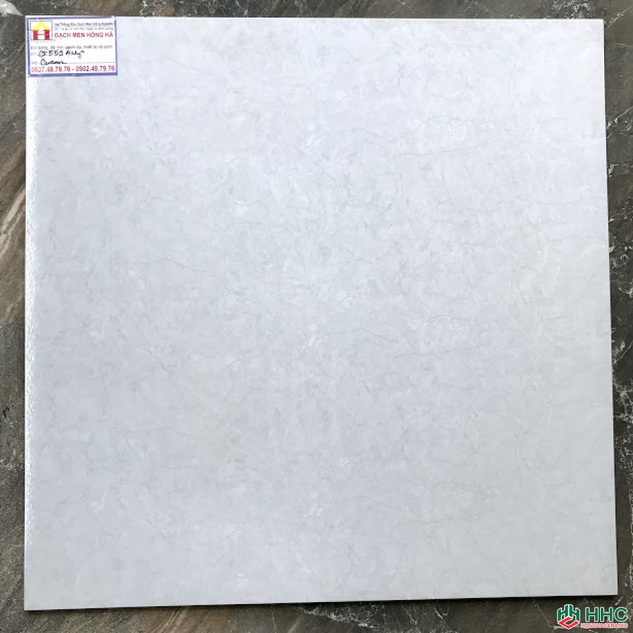 Gạch lát nền 60x60 Ct559