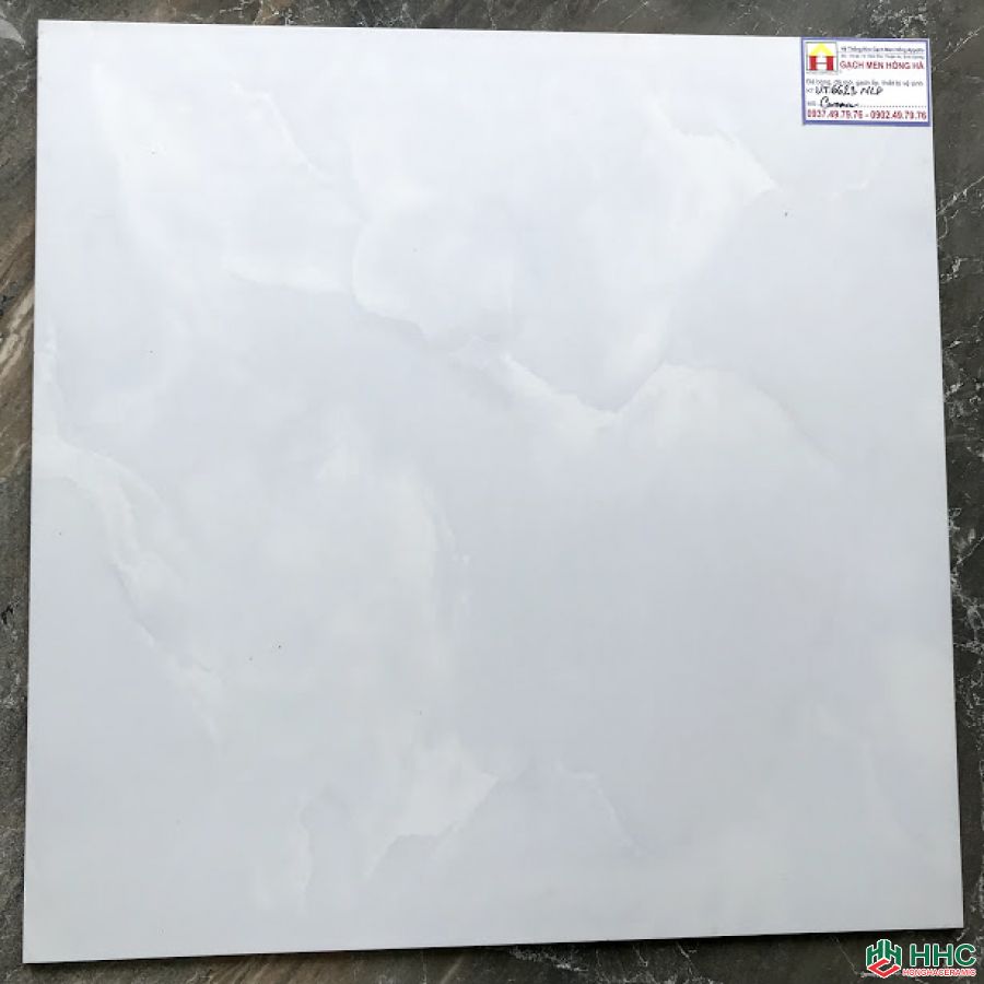 Gạch lát nền 60x60 VT6623