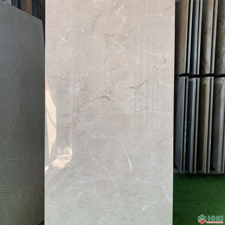 Gạch lát nền 60x120 ấn độ 0812T