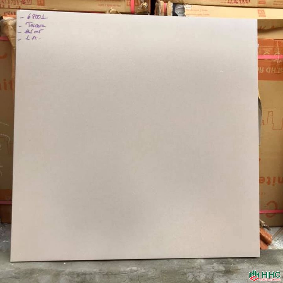 gạch 60x60 taicera đá mờ