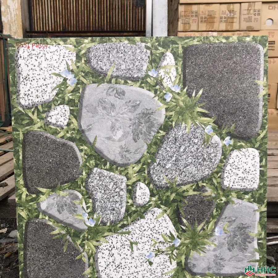 Gạch lát sân 50x50 5556phs