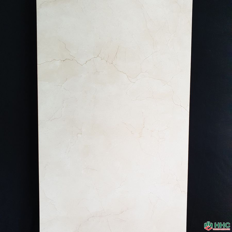 Gạch ốp tường 60x120 ấn độ NB1266004