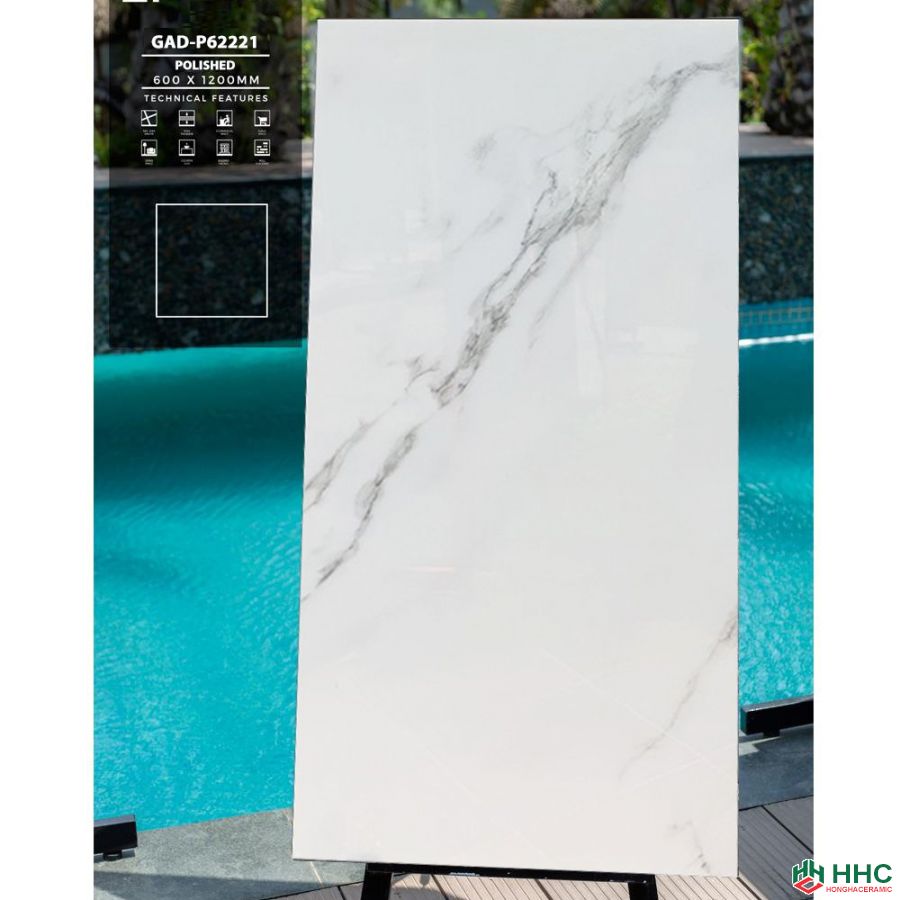 Gạch ốp tường 60x120 ấn độ GAD-P62221