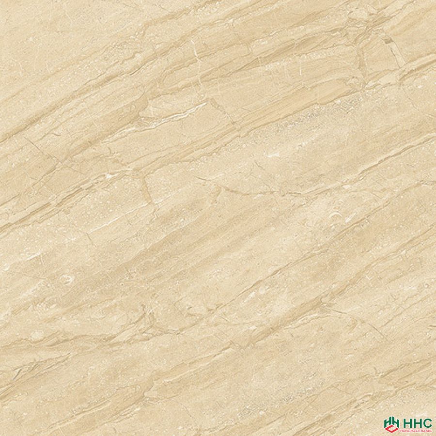 Gạch lát Porcelain kích thước 600x600 - 9604