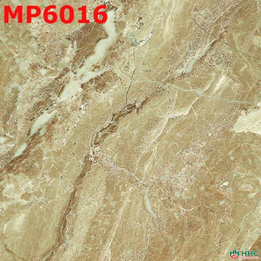 Gạch lát Porcelain kích thước 600x600 - MP6016