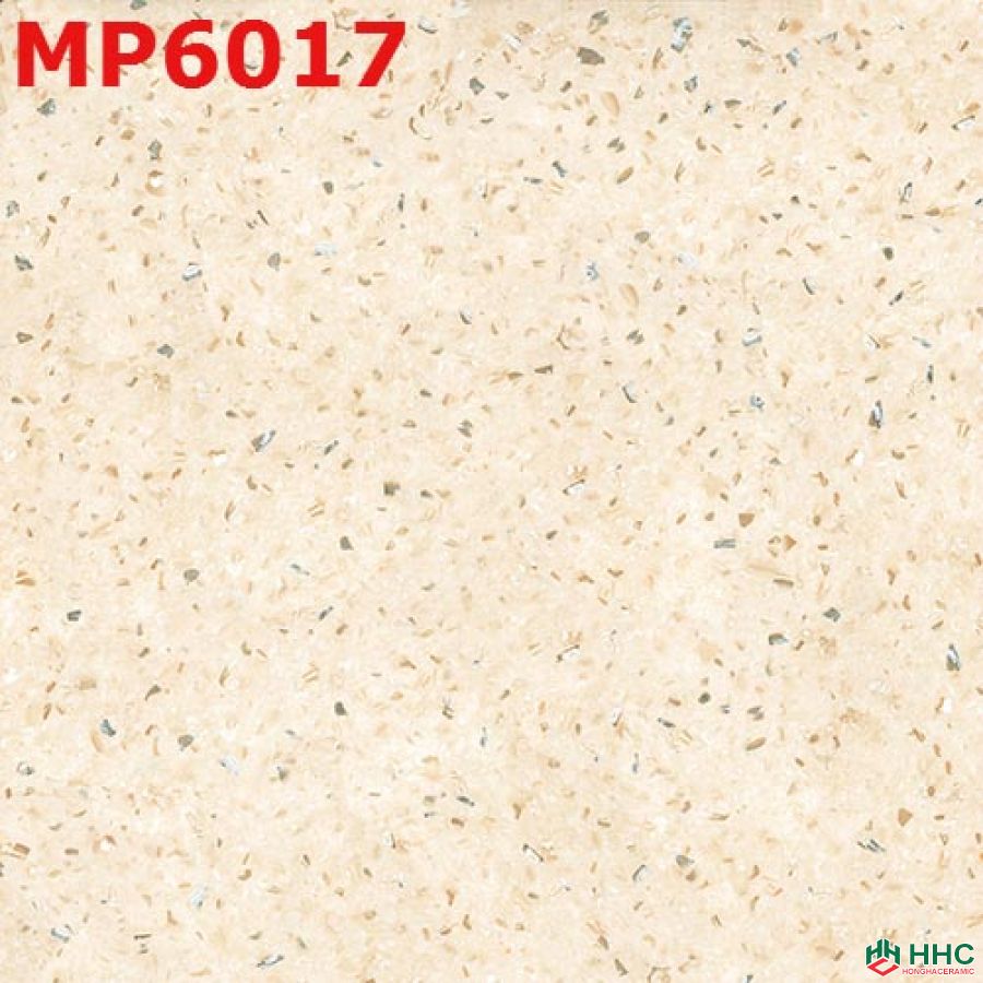 Gạch lát Porcelain kích thước 600x600 - MP6017
