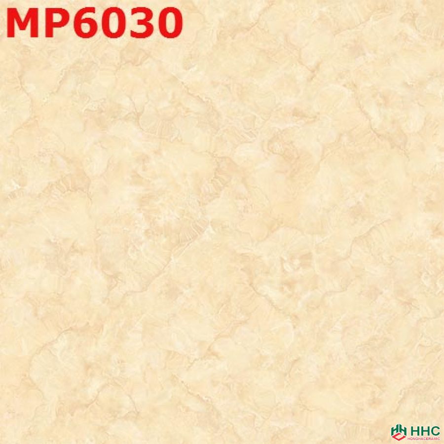 Gạch lát Porcelain kích thước 600x600 -