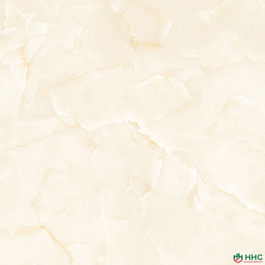 Gạch lát Porcelain kích thước 600x600 - MP6618