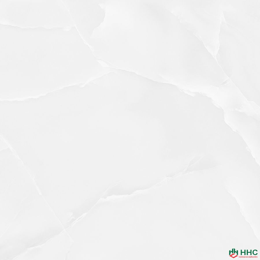 Gạch lát Porcelain kích thước 600x600 - MP6619