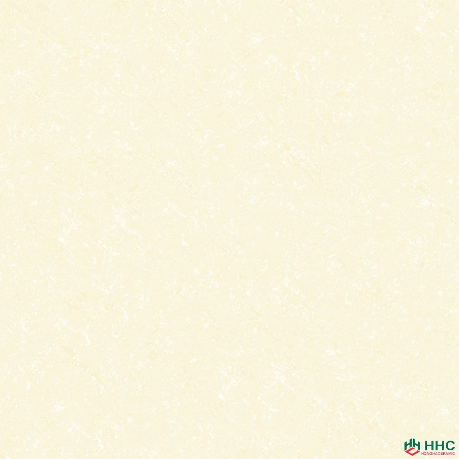 Gạch lát Porcelain kích thước 600x600 - VP6514G