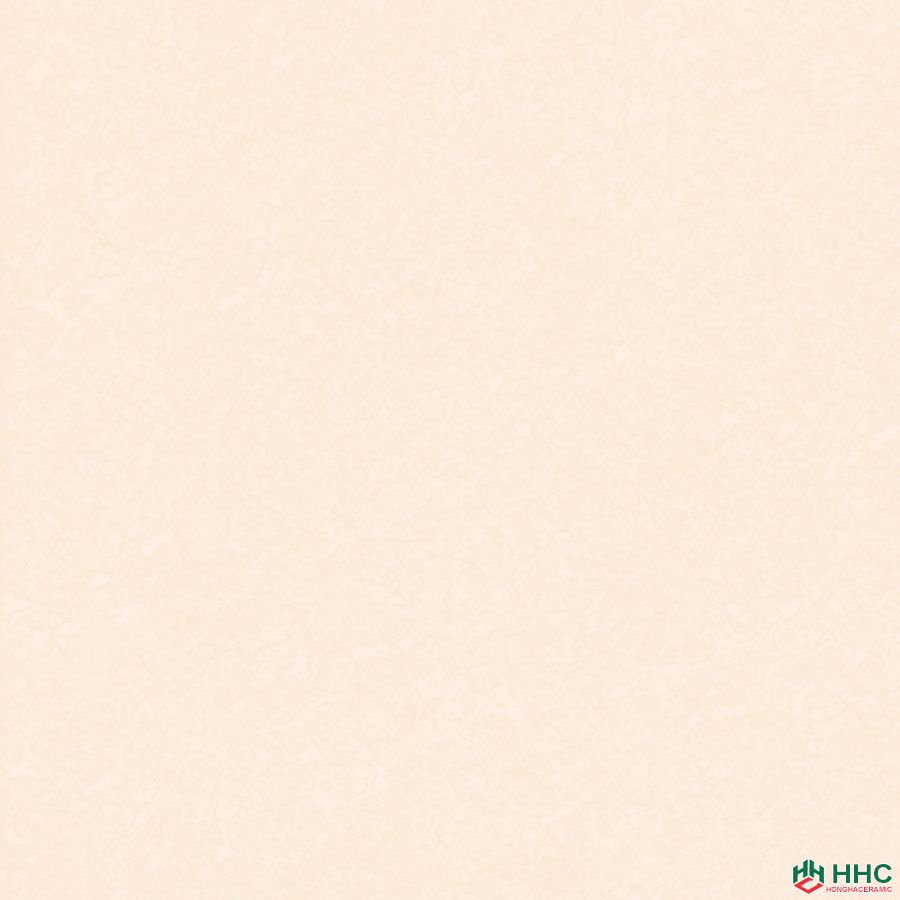 Gạch lát Porcelain kích thước 600x600 - VP6520G
