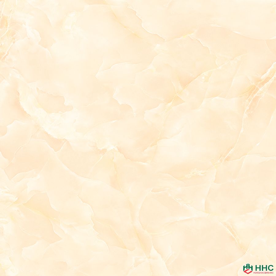 Gạch lát Porcelain kích thước 600x600 - VP6521G