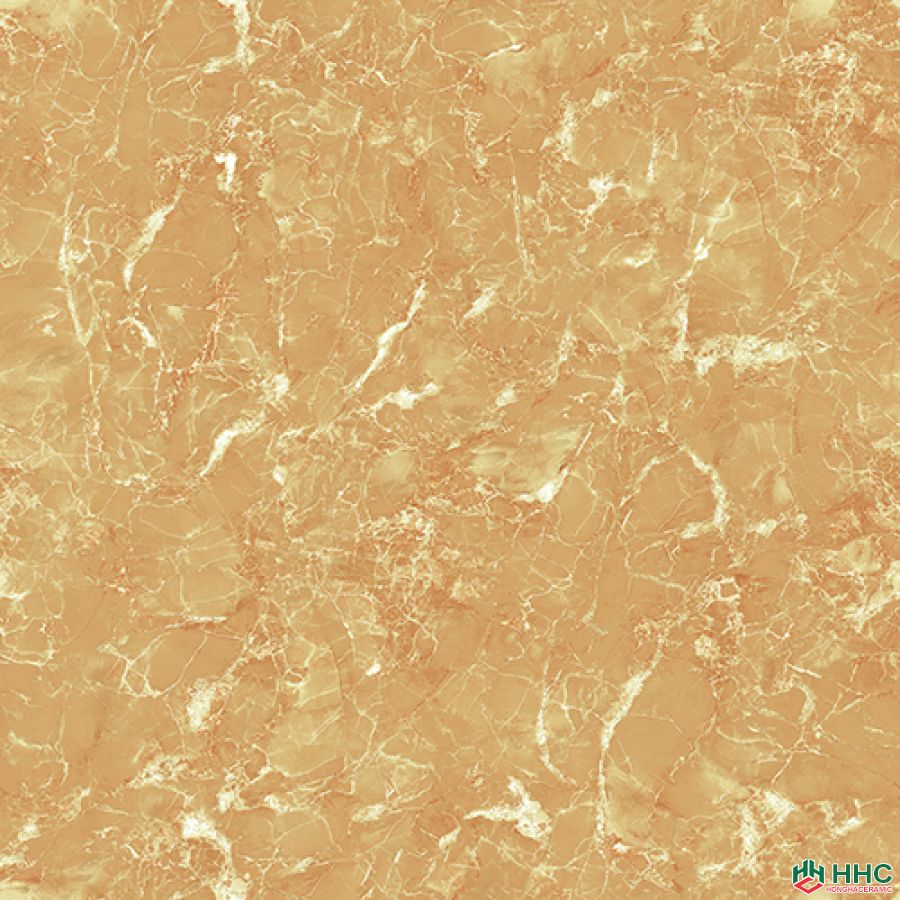 Gạch lát Porcelain kích thước 600x600 - VP6522G
