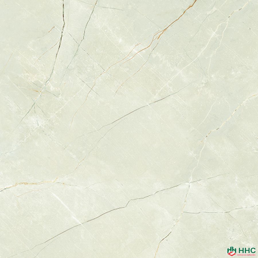 Gạch lát Porcelain kích thước 600x600 - MP6026G