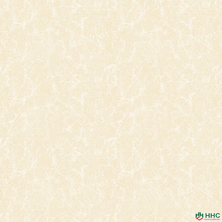 Gạch lát Porcelain kích thước 600x600 - VP6528